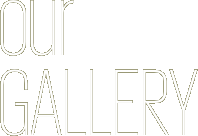 our GALLERY